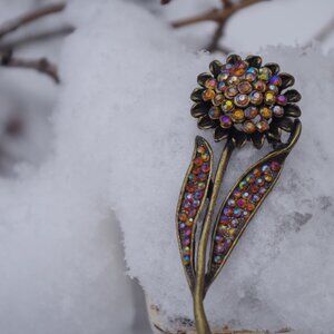 Cute Vintage Daisy Broovh